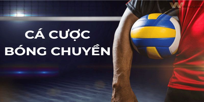 Chấp điểm là thể lệ được ưa chuộng khi cá độ bóng chuyền